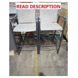 (2) Patio Bar Stools