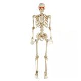 5 ft. LED Pose-N-Stay Skeleton