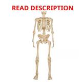 5 ft. LED Ultra Pose-N-Stay Skeleton