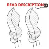 Climbing Plants Trellis 2-Pack 44in