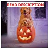 Halloween LED Golden Retriever with Puppy