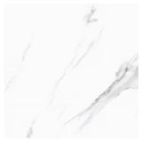 Skid Lot Matte Calacatta 18x18 Ceramic Tile Case