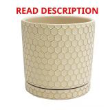 Cohen Beige Ceramic Planter
