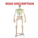 Grave & Bones Animated LED Skelly LifeEyes