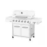 Gourmet Pro 6-Burner Propane Grill w/ Sear