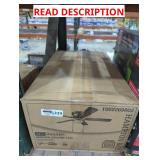 Indoor Ceiling Fan