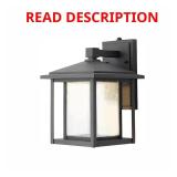 Mauvo Canyon Black Lantern Sconce