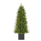 G3 4 ft Grand Duchess LED Tree