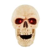 Animated Talking Skull