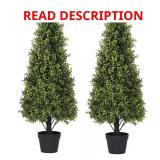 3 ft Boxwood Cone Topiary Tree in Pot