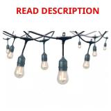 12-Light Indoor/Outdoor LED String Lights