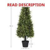 3 ft Boxwood Cone Topiary Tree in Pot,