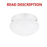 Webster 1-Light White Flush Mount with LED