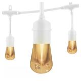 12-Bulb 24 ft Vintage Cafe LED String Lights