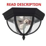 Wynfield 2-Light Black Outdoor Ceiling Fixture