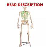 Grave & Bones Animated LED Skelly LifeEyes
