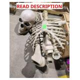 Unknown Size Skelly (Missing Pieces!)