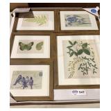5 Piece Framed Art Set
