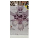 Hunter Ceiling Fan
