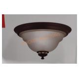 Project Source Ceiling Light