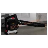 2 Cycle Blower