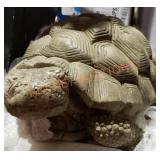 Concrete Turtle