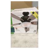 Hunter Ceiling Fan