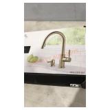 Delta Pull-down Kitchen Faucet