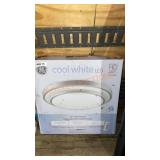 Cool White LED 19" Flush Mount