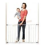 Metal Walk-Through Gate