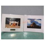 Lot Of 31 Matted Prints