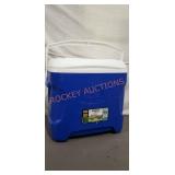 30 Quart Igloo Cooler