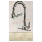 Project Source Pull-Down Kitchen Faucet