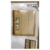 Style Selections Medicine Cabinet