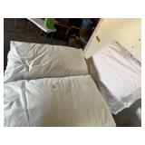 BED PILLOWS