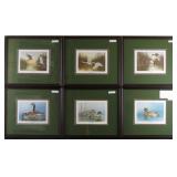 Ducks Unlimited Signed & Numbered by Jim Michelsen