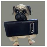 Pug Phone Holder