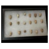 Arrowhead Collection