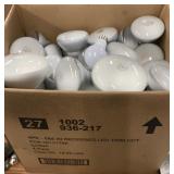 Huge Box Assorted Light Bulbs