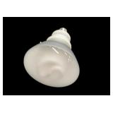 (24) New 100 Watt GE Flood Lights