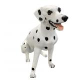 Estate Dalmatian Dog