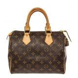 Louis Vuitton Speedy 25