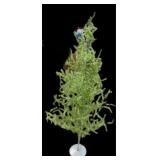 Estate Old World Christmas Tree