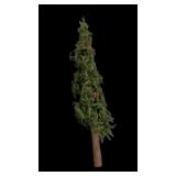 (2) Charlie Brown Trees (1 Needs Base)