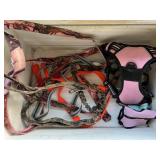 Lot of Dog Leashes, Harnesses, & Collars