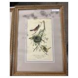 (4) Framed Nature Prints