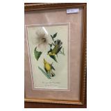 John Audubon Antique Birds