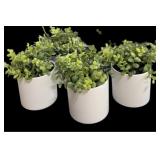 Set of (4) Potted Faux Plants MSRP $20.