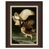 BARN OWL GICLEE BY JOHN JAMES AUDUBON