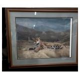 32 x 38 " Framed Tiger Print-Charles Fraceï¿½ Ltd